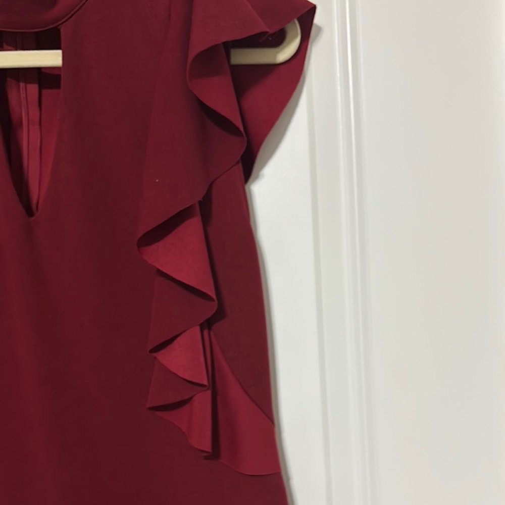 She + Sky Burgundy Ruffle-Trim Mini Dress - Picture 3 of 4